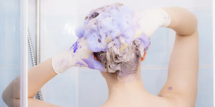 What happens if you use purple shampoo on grey hair