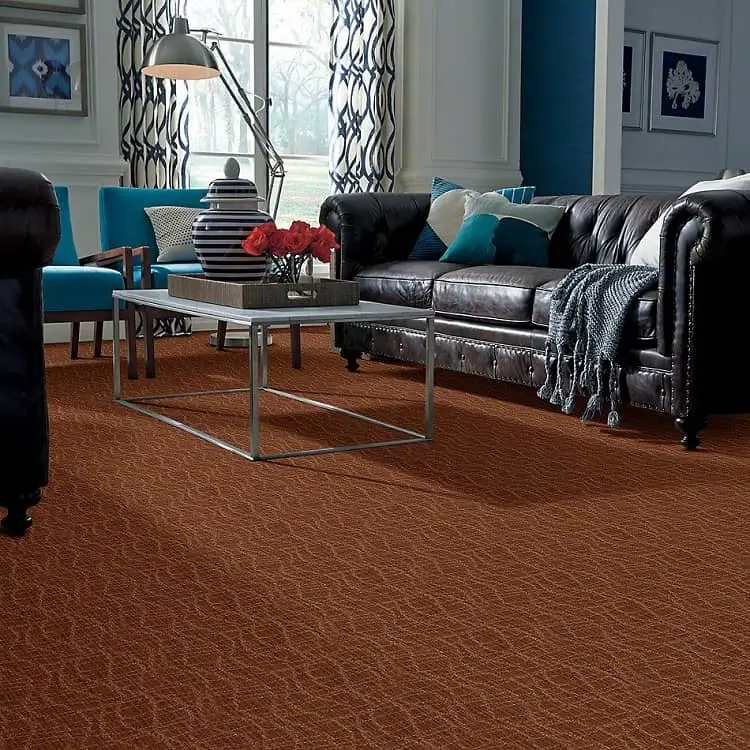 carpets in earthly tones_what kind of carpet is popular now