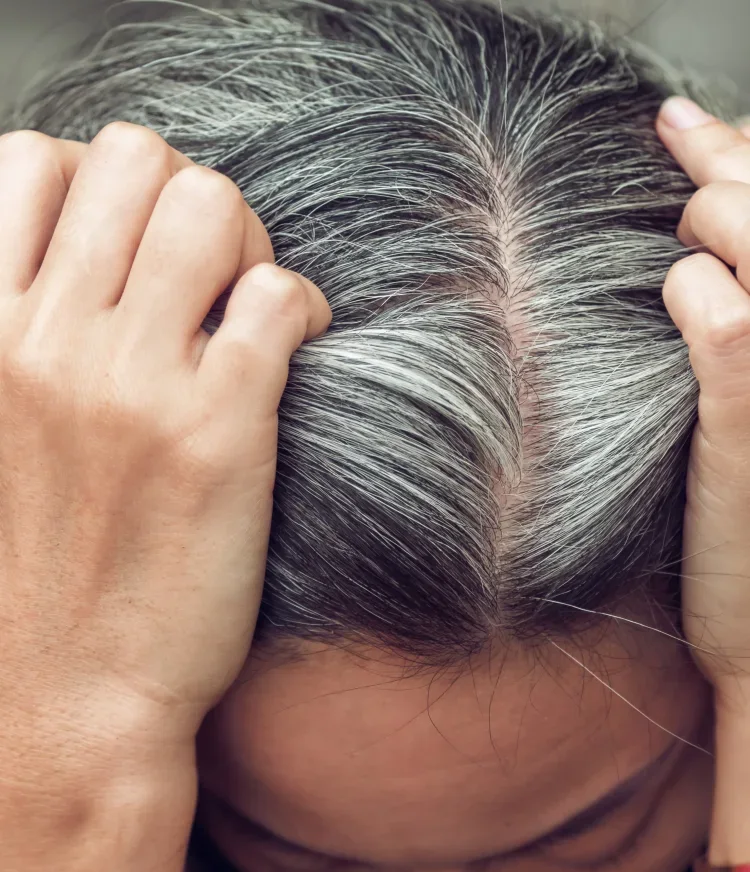 gray hair roots ingredients in shampoos to avoid