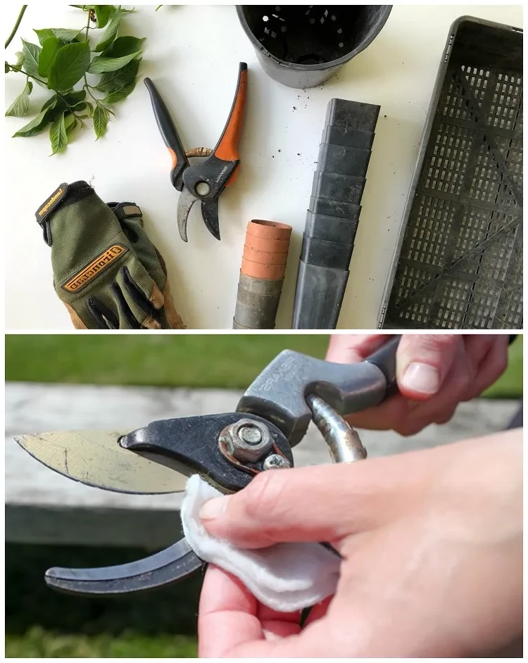 how to disinfect garden cutting tools with bleach