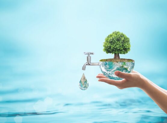 how to purify water at home why is it essential drink from the sink mineral or tap