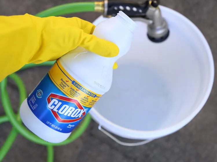 how to use bleach in the garden safely to preserve your plants from harmful diseases