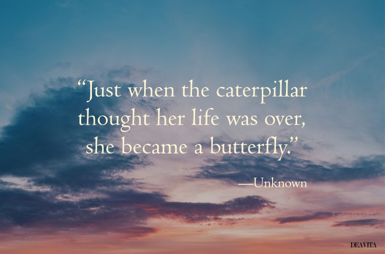just when the caterpillar thought her life was over she became a butterfly