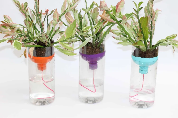 self watering water bottle planters unique idea