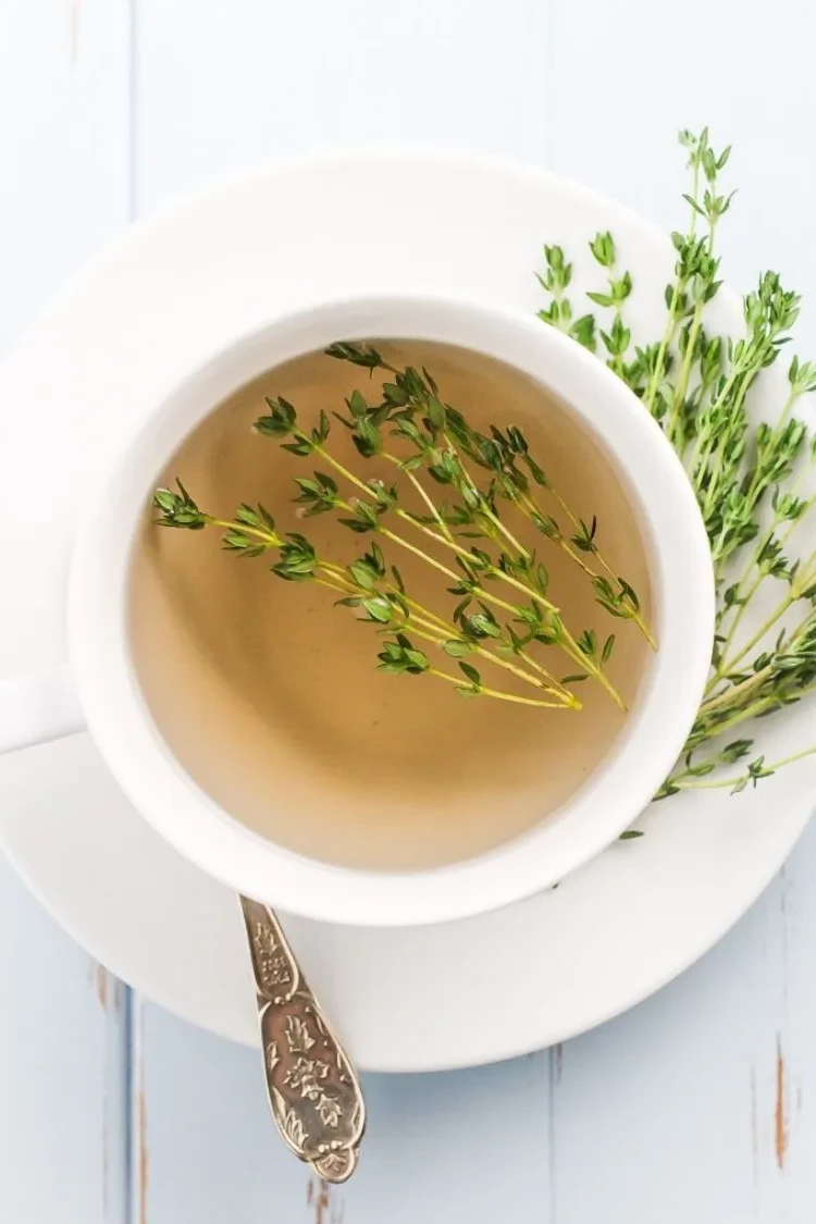 thyme herbal tea for lungs