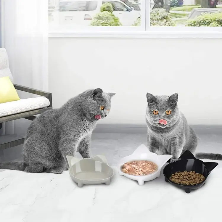 toxic food for cats_foods that are toxic to cats