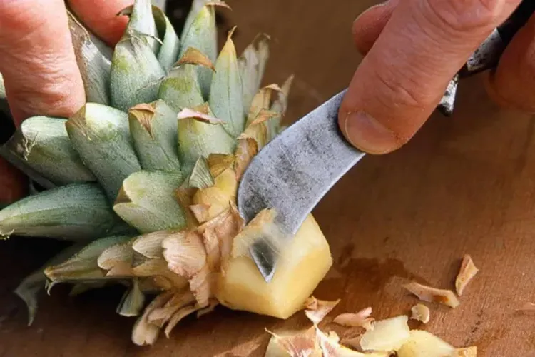 ways to grow pineapple at home cutting crown with a knife