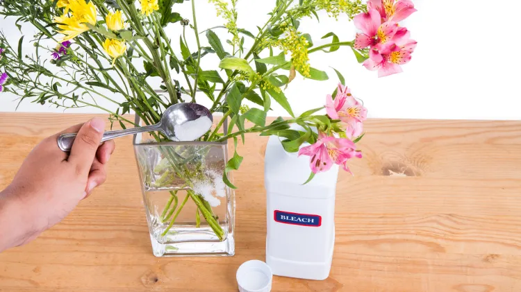 why pour bleach into the water of cut flowers to preserve