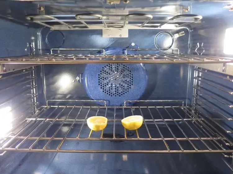 Are-lemons-good-for-cleaning-the-oven