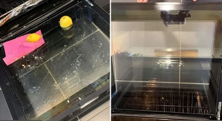 Oven-clean-with-a-lemon-half-before-and-after