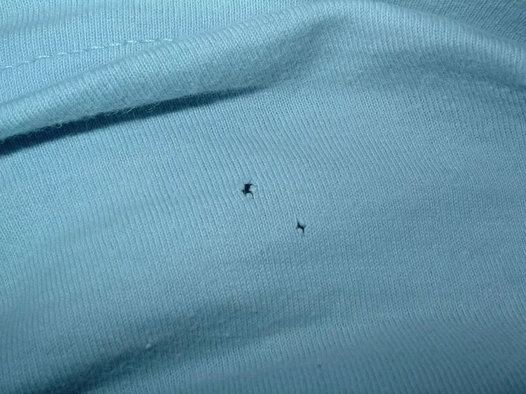 Small Holes in Clothes What Causes Them and How to repair and Prevent