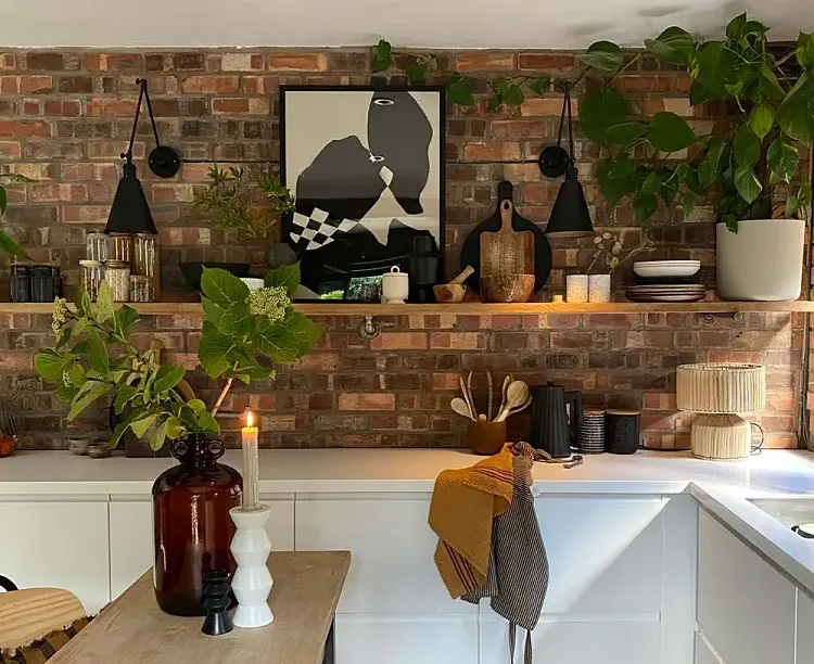 Wood wall shelf decorated with art plants and light fixtures