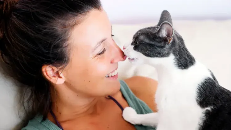 cat licking its owner's face showing signs of affection