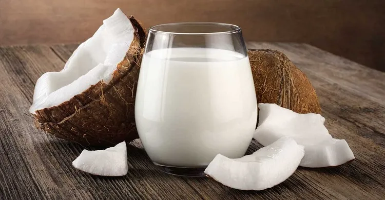 coconut milk for your healthy diet