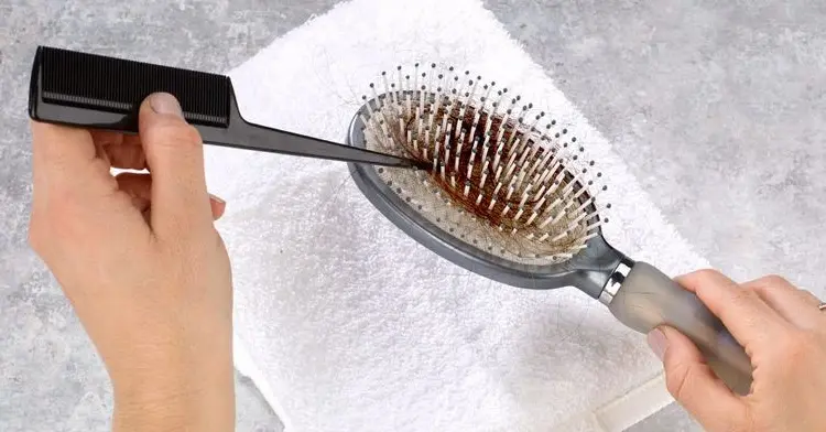 how-to-clean-hairbrush-with-home-remedies