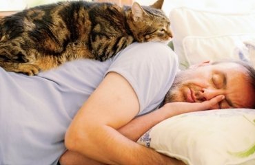 how to fall asleep faster cat sleeping on a man's back