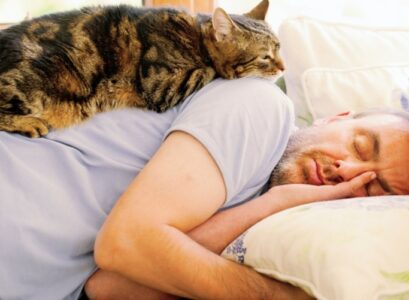 how to fall asleep faster cat sleeping on a man's back