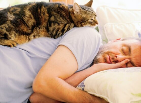 how to fall asleep faster cat sleeping on a man's back