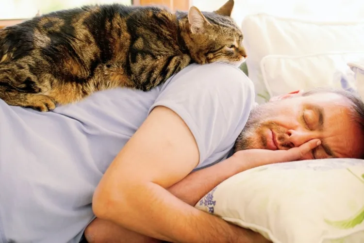 how to fall asleep faster cat sleeping on a man's back
