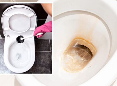 how to remove limescale from toilet naturally_easy ways to remove limescale from toilet