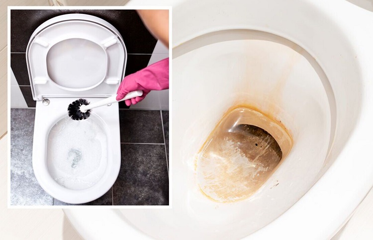 how to remove limescale from toilet naturally_easy ways to remove limescale from toilet
