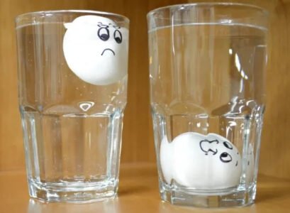how-to-tell-if-the-eggs-are-good-or-bad-reliable-methods