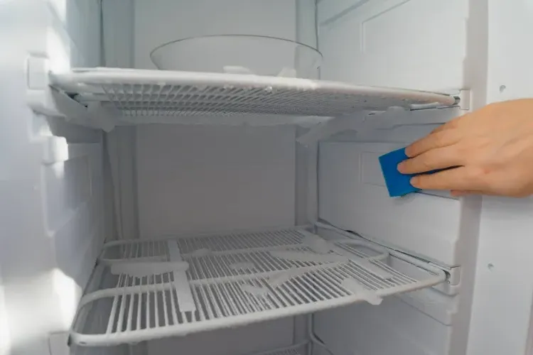 useful tips for defrosting a freezer