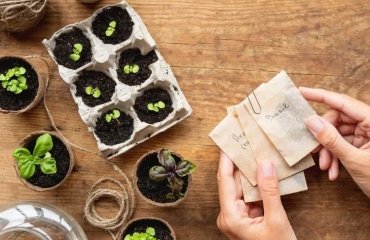 what containers to sow your seeds in recycling ideas
