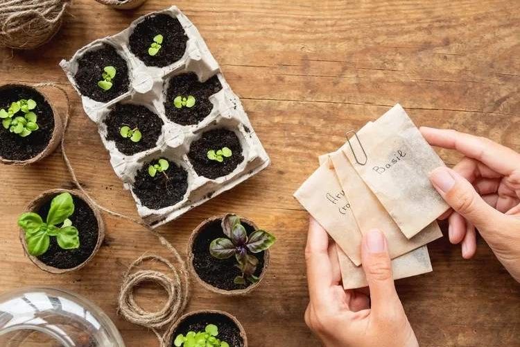 what containers to sow your seeds in recycling ideas