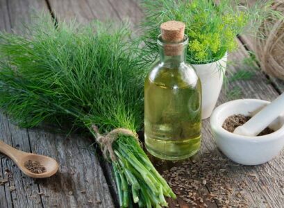 grow dill guide a beneficial and healthy plant