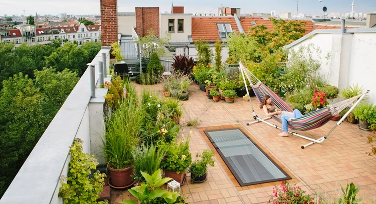 How to Choose Plants for Your Roof Garden