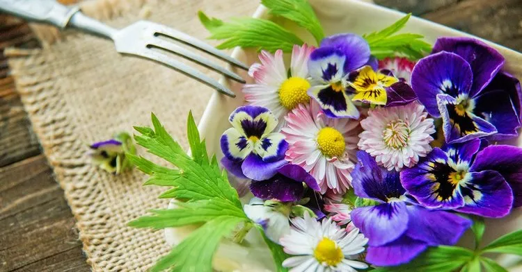 what edible flowers to grow in your garden or balcony