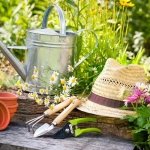 what to plant in april vegetables and flowers spieces