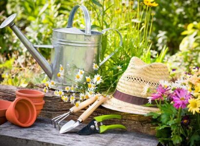 what to plant in april vegetables and flowers spieces