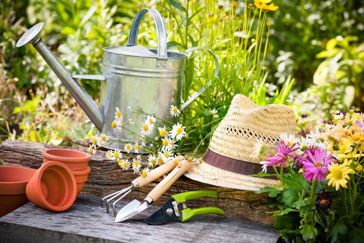 what to plant in april vegetables and flowers spieces