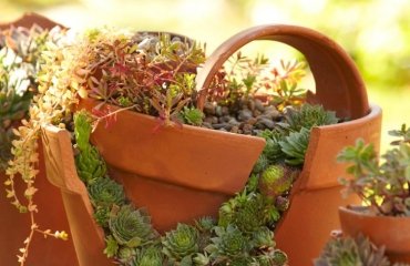 amazing ideas for landscaping with broken pots 2023