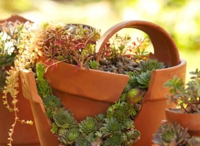 amazing ideas for landscaping with broken pots 2023