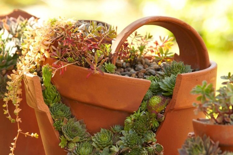 amazing ideas for landscaping with broken pots 2023