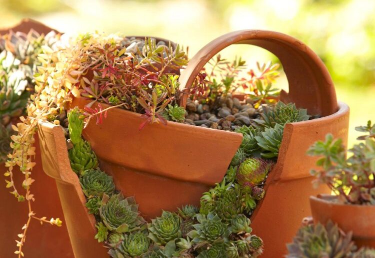 amazing ideas for landscaping with broken pots 2023