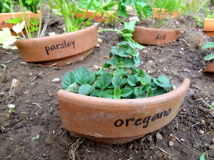 broken pots turned into labels for your herbs and plants