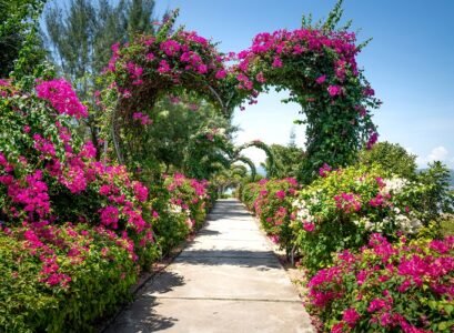 colorful bushes for front yard for joy and mood with flower colors