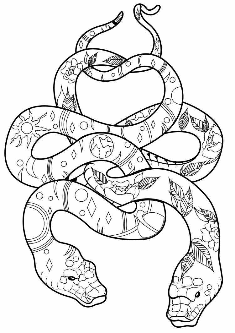coloring snakes with patterns for adults