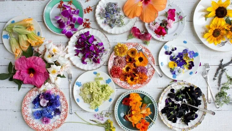considerations when consuming edible flowers