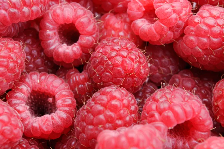 do raspberries have seeds