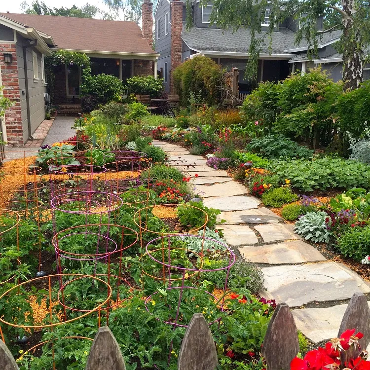 edible front yard colorful veg landscaping design ideas