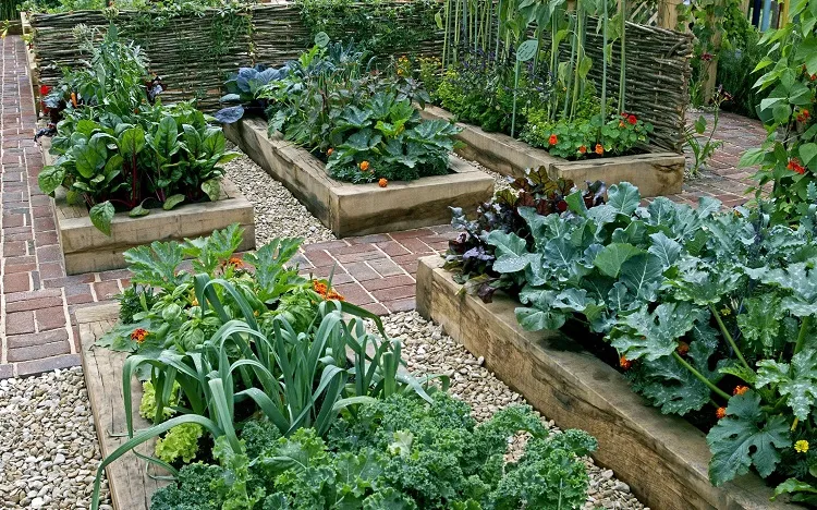 edible landscaping ideas kitchen vegetable garden (2)