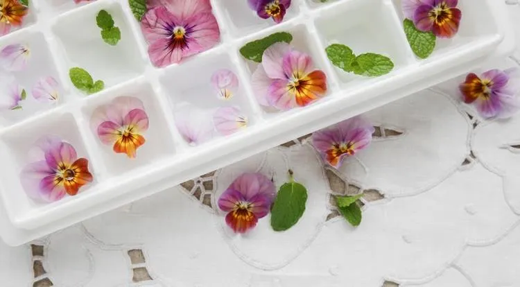 freeze edible flowers in ice cubes