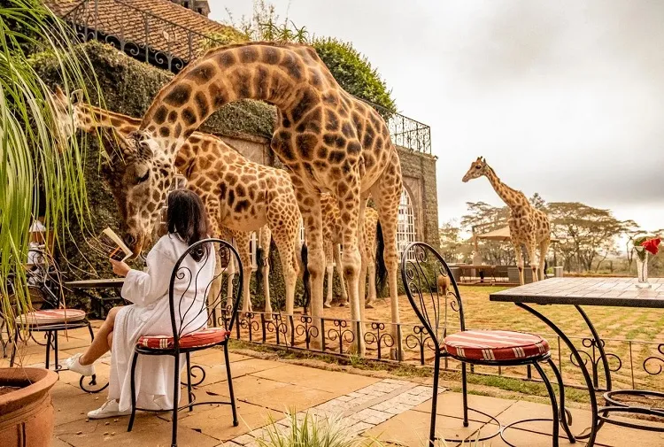 giraffe manor kenya nairobi national park family trip ideas 2023
