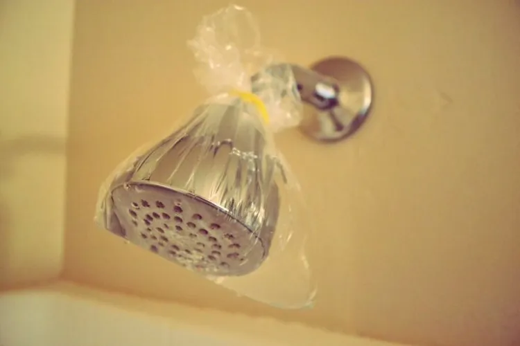 how to clean a shower head