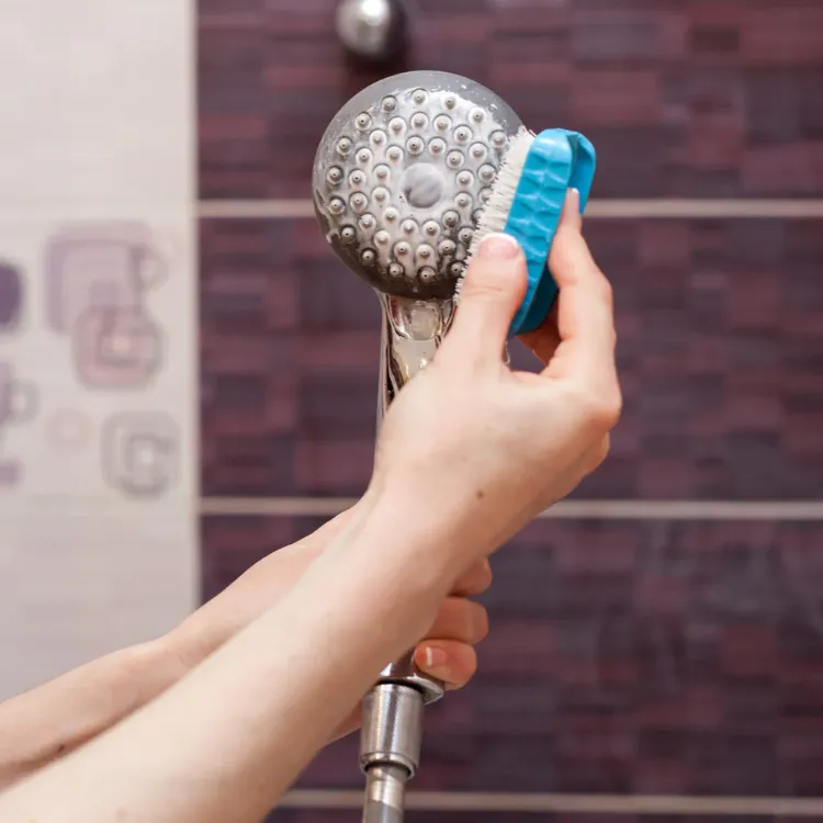 how to clean your shower head